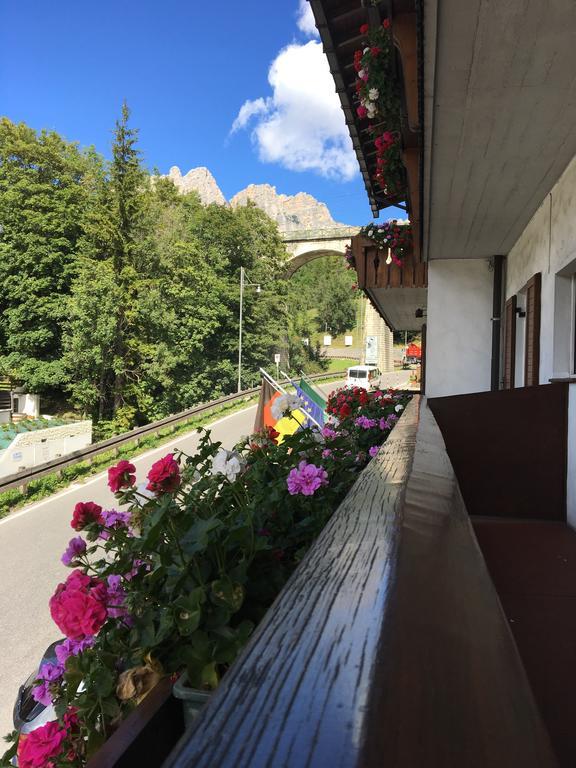 Meuble Villa Neve Cortina dʼAmpezzo Exteriör bild