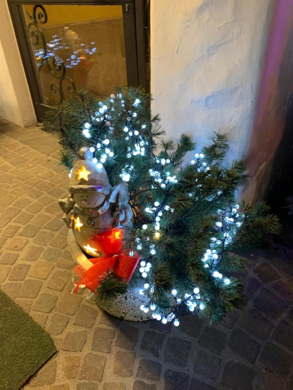Meuble Villa Neve Cortina dʼAmpezzo Exteriör bild